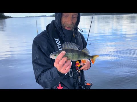 Mistä ahvenet löytyvät - Kalastustekniikat - Lusikkauistin - Lippauistin - Spintube - Ottipaikat