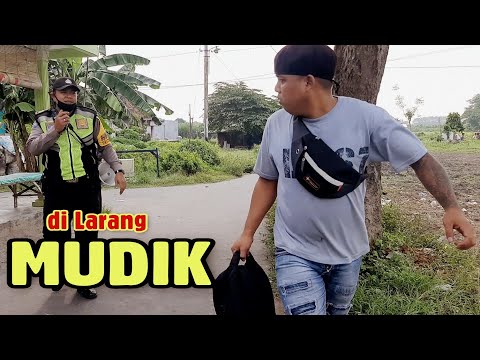 di-larang-mudik