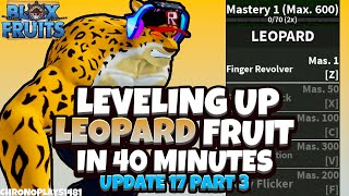 Leveling up Leopard Fruit In 40 Mins - Blox Fruits Update 17 Part 3