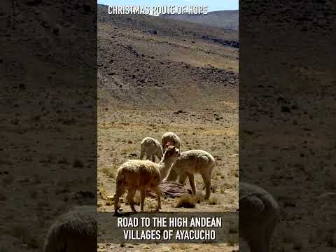 Viaje por los andes hasta Coracora las heladas alturas de Parinacochas en Ayacucho