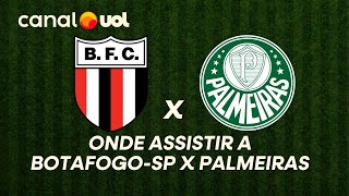 BOTAFOGO-SP X PALMEIRAS: ONDE ASSISTIR À TRANSMISSÃO AO VIVO DO JOGO E HORÁRIO PELO PAULISTÃO