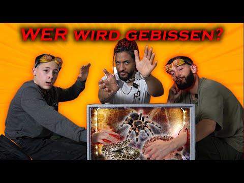 Was ist in der Box? EXTREM -  mit @CemTV 😱🕷🔥