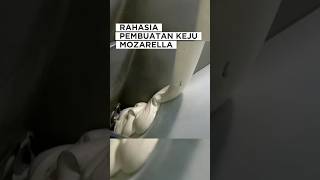Download lagu INILAH RAHASIA PEMBUATAN KEJU MOZARELLA⁉️😱 #shorts #viralvideo mp3 Download lagu INILAH RAHASIA PEMBUATAN KEJU MOZARELLA⁉️😱 #shorts #viralvideo mp3