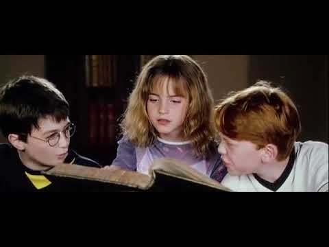 Nicolas flamel scene | Harry Potter