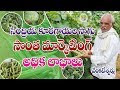 Organic Vegetable Farming || Venkateshwarlu || Contact - 7702710588