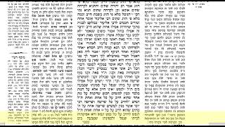 דף היומי מכות דף כא