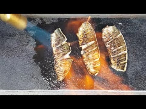 download lagu mp3 mp4 Blowtorch Fish, download lagu Blowtorch Fish gratis, unduh video klip Blowtorch Fish