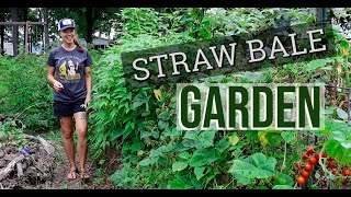 Growing Vegetables in Old Straw Bales