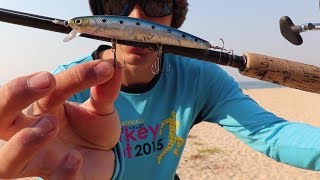 Воблер lucky craft flash minnow 110-253 citrus shad