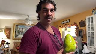 The Best Florida Avocado That No One Knows About