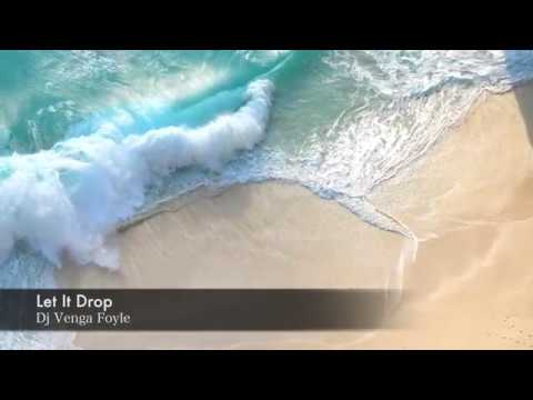 DJ Venga Foyle - Let It Drop