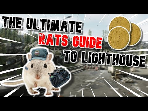A comprehensive Lighthouse Rat guide to success | Escape From Tarkov |