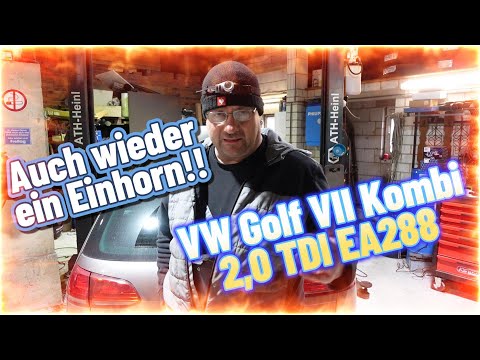 VW Golf Variant 2,0 TDI EA288 und sonst so ???#automobile