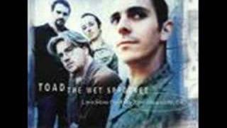 Toad The Wet Sprocket - One Little Girl