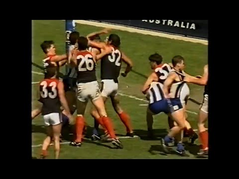 1993 AFL Reserves Grand Final Brawl - Melbourne v North Melbourne - MCG