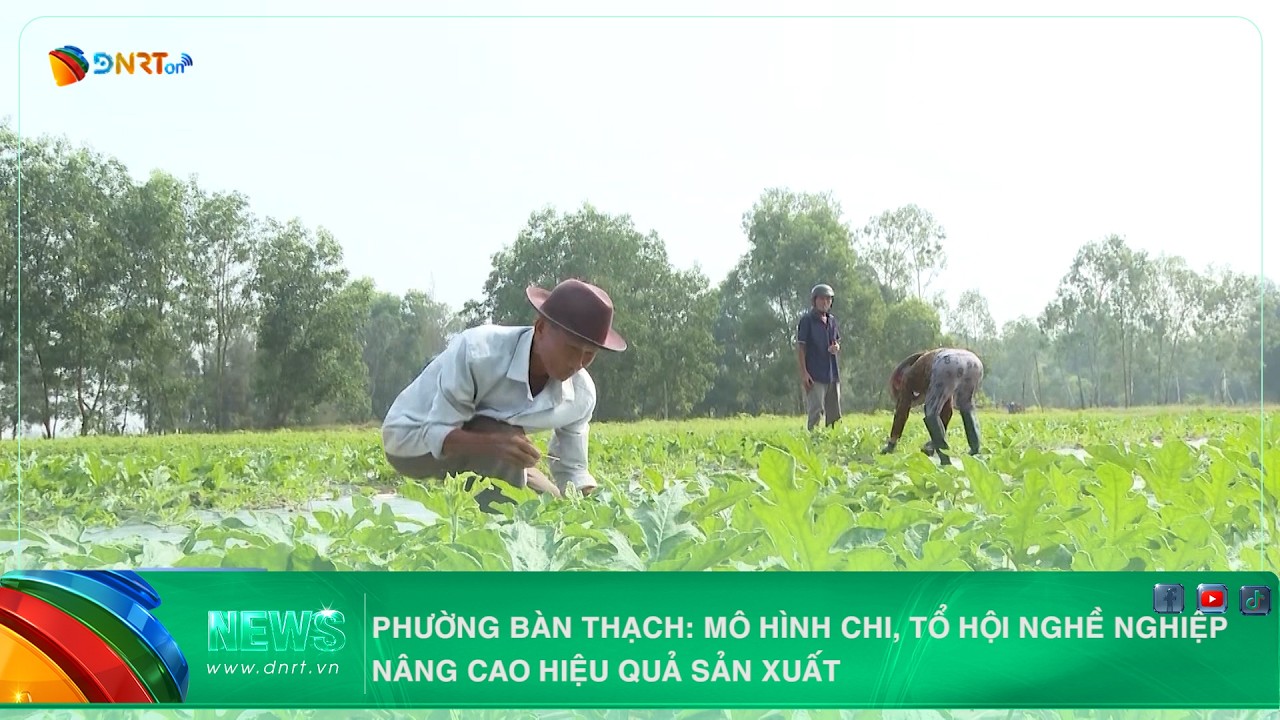 PHƯỜNG BÀN THẠCH MÔ HÌNH CHI, TỔ HỘI NGHỀ NGHIỆP NÂNG CAO HIỆU QUẢ SẢN XUẤT
