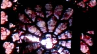 Cat's Eyes - Love You Anyway