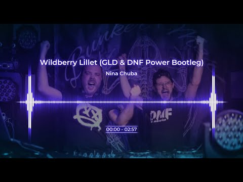 Nina Chuba - Wildberry Lillet (GLD & DNF Power Bootleg)