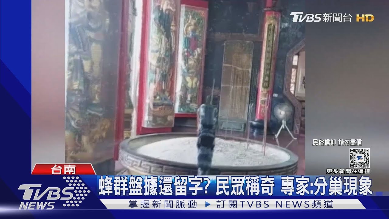 蜂群盤據留字、濟公提醒地龍翻身 民眾議論、專家:自然現象