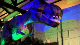 preview picture of video 'T-Rex au musée des dinosaures d'Espéraza (11)'