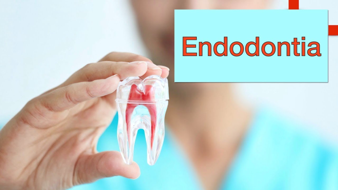 Endodontia para ASB