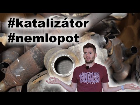 pinworms mennyit kell kezelni Ascaris bél parazita
