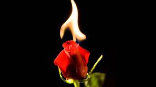 Fuel To The Flame - Skeeter Davis