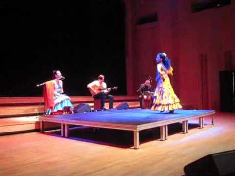 Flamenco namietnie