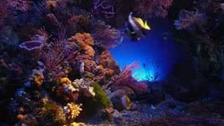 The Ocean (The Bravery)