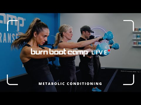 Burn Protocol Bootcamp
