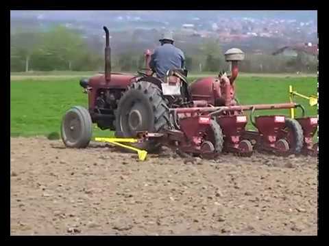 RTV Šumadija - plodored