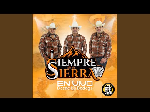 Tus Bellos Pechos (En Vivo)