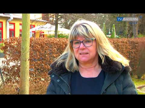 Tauben - schützenswerte Vögel oder die Ratten der Lüfte?