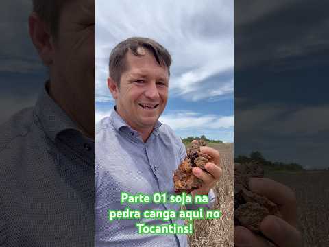 Soja plantado na pedra canga em Cristalândia vejo os resultados aí e comente