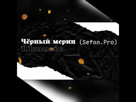 Чёрный мерин (Sefon.Pro)