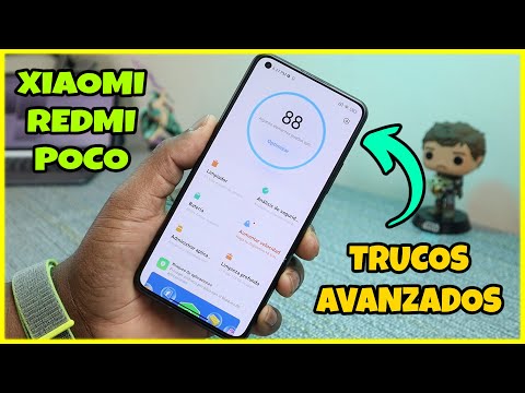 Consejos de Seguridad y Optimización Adicionales