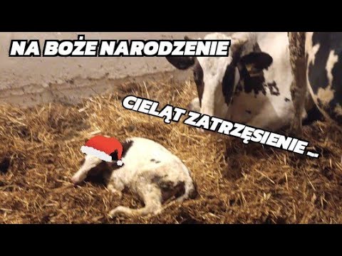 Christmas Eve Vlog 2025