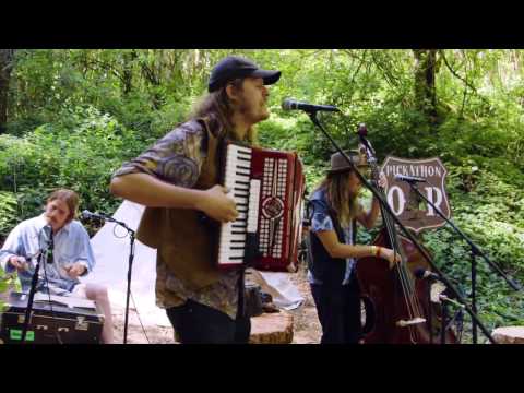 Daniel Norgren - Everything You Know Melts Away... - Old Growth Sessions @Pickathon 2016 S01E05
