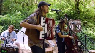 Video thumbnail of "Daniel Norgren - Everything You Know Melts Away... - Old Growth Sessions @Pickathon 2016 S01E05"