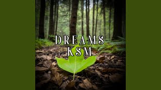 Between the Falling Stars