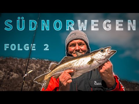 Fishing in Norway. Big Surprise (in the South!) | Vlog 2