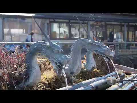 073.Do You Wanna Dance - Tiffany Gayle