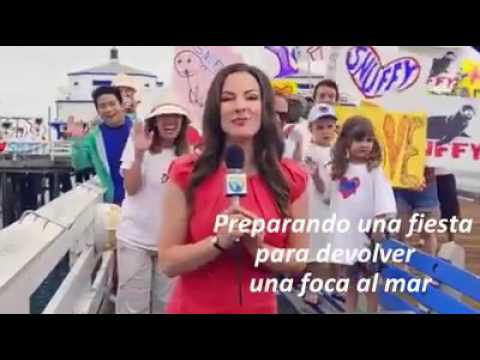 Snuffy the Seal eaten by Shark!!!!