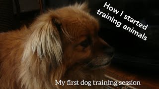 How I Started Training Animals - My First Dog Training Session