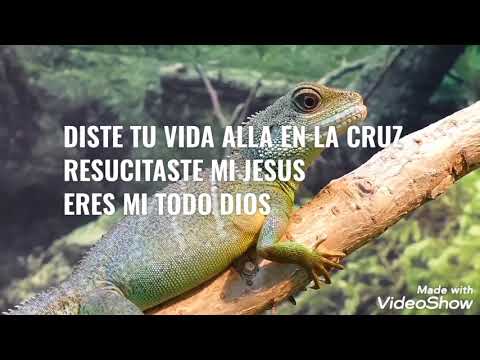 Eres Mi Todo - Peregrinos y Extranjeros