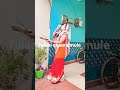 Tulasi Chaura Mule Jali Sanjabati Sobhagyabati Shortvideo Tulsipuja