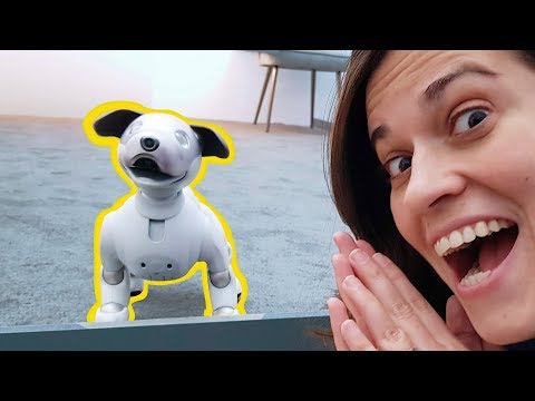 EL ROBOT MÁS ADORABLE!! Sony Aibo