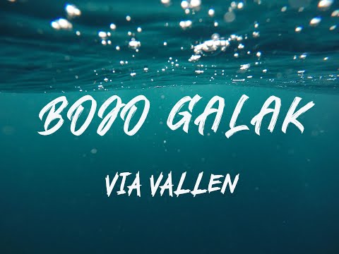 VIA VALLEN - Bojo Galak (Lirik)