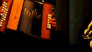 Scottish suédoise à l'accordéon diatonique - Le lézard