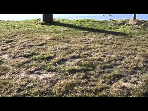 MongoTV_269 - Del 2 - Ved Furesøen - Folk Glor Fordi Jeg Snakker Til Kamera